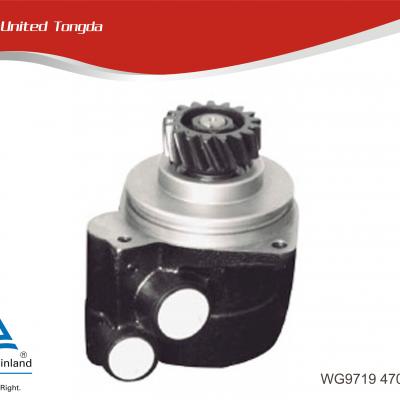Power steering pump WG 9719 4700 37