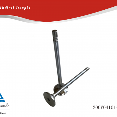 SINOTRUK MC11 exhaust valve 200V04101-0546